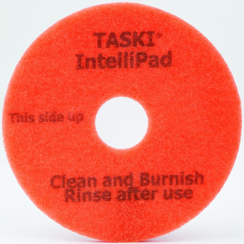 TASKI Disque IntelliPad 2x1pc - 13" / 33 cm - Disque 2 en 1
