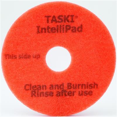 TASKI Disque IntelliPad 2pc - 13" / 33 cm - Disque 2 en 1
